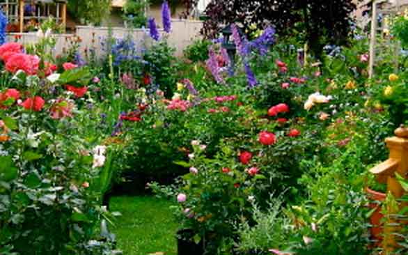 gorgeous garden
