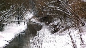 creek runs through a snowy forest